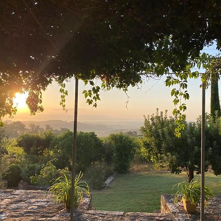 Abbadia Wine Relais Bed & Breakfast Montefollonico Bagian luar foto