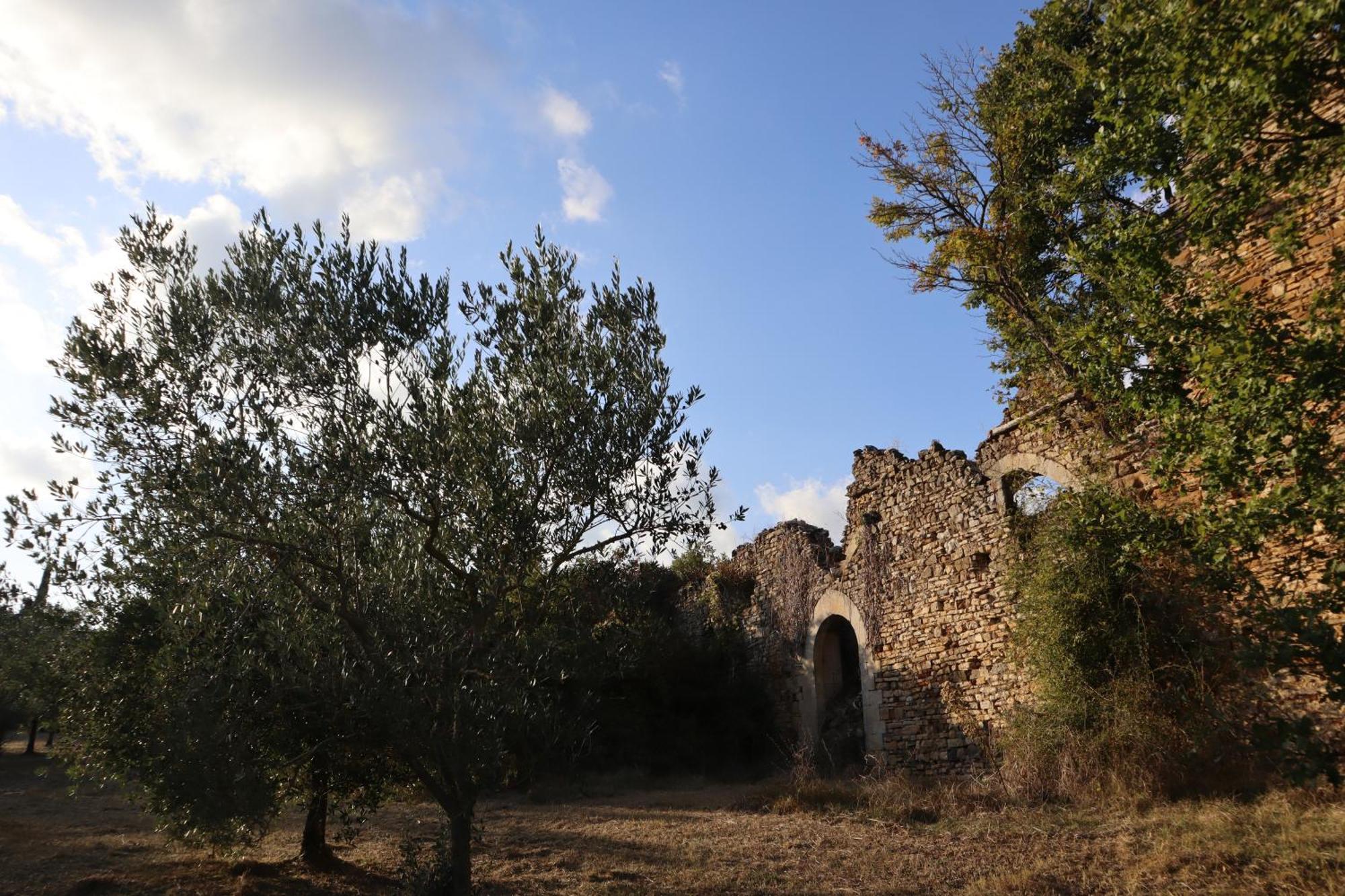 Abbadia Wine Relais Bed & Breakfast Montefollonico Bagian luar foto