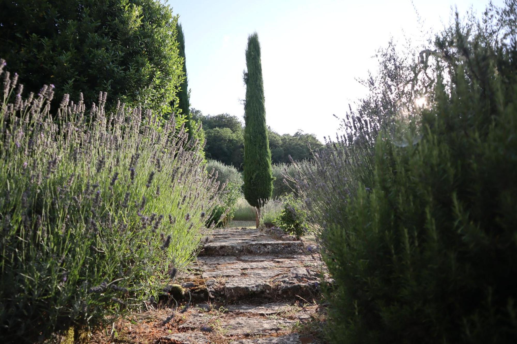 Abbadia Wine Relais Bed & Breakfast Montefollonico Bagian luar foto