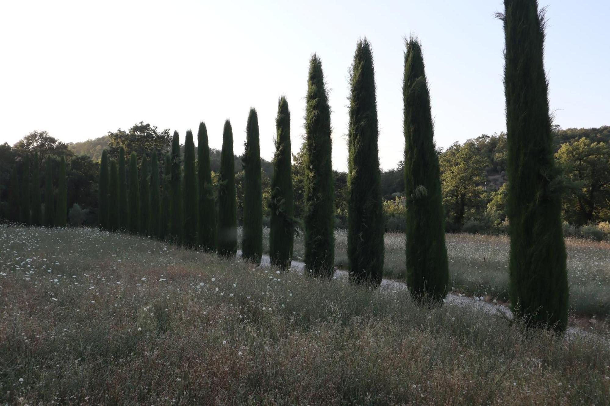 Abbadia Wine Relais Bed & Breakfast Montefollonico Bagian luar foto