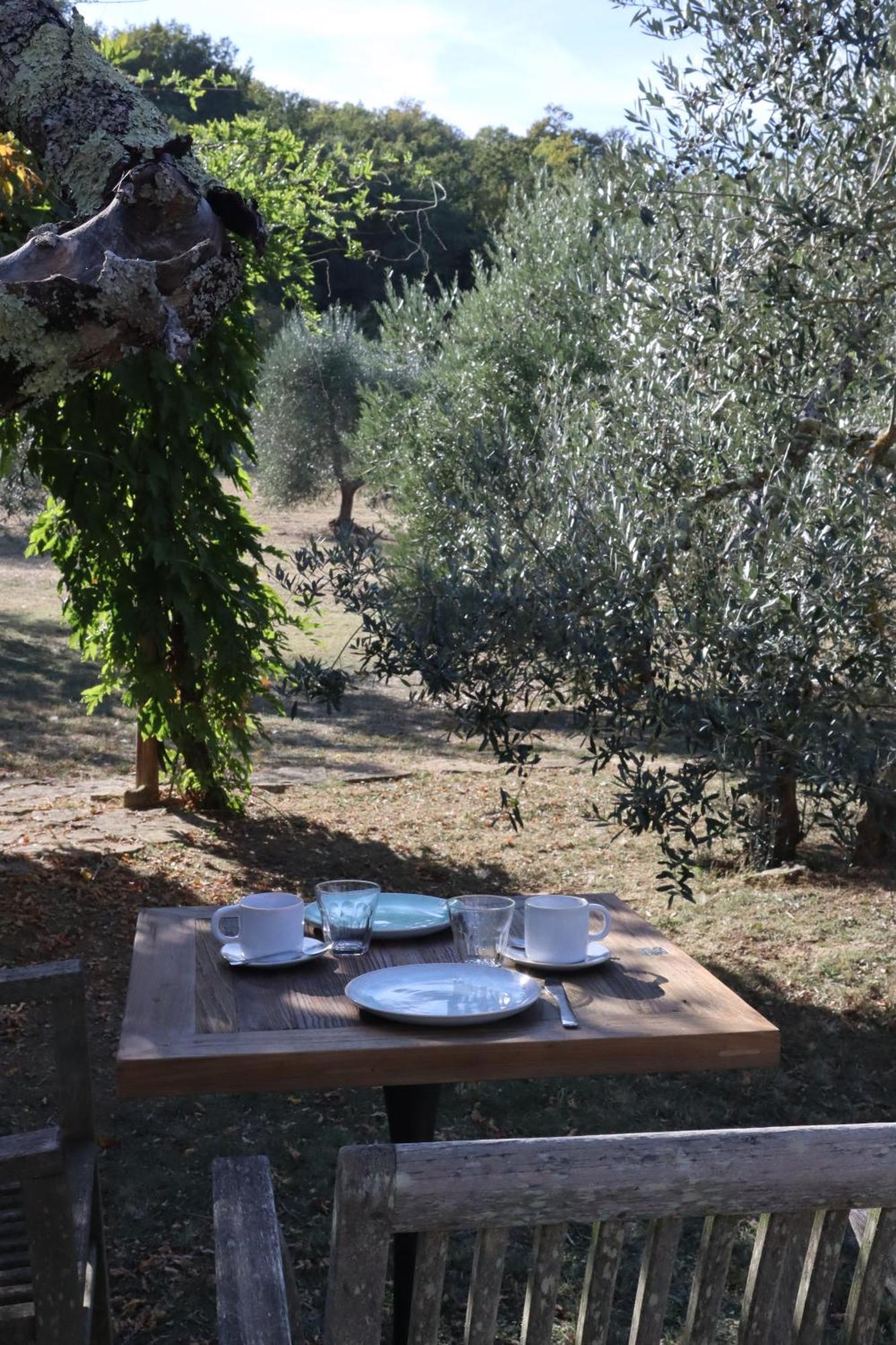 Abbadia Wine Relais Bed & Breakfast Montefollonico Bagian luar foto