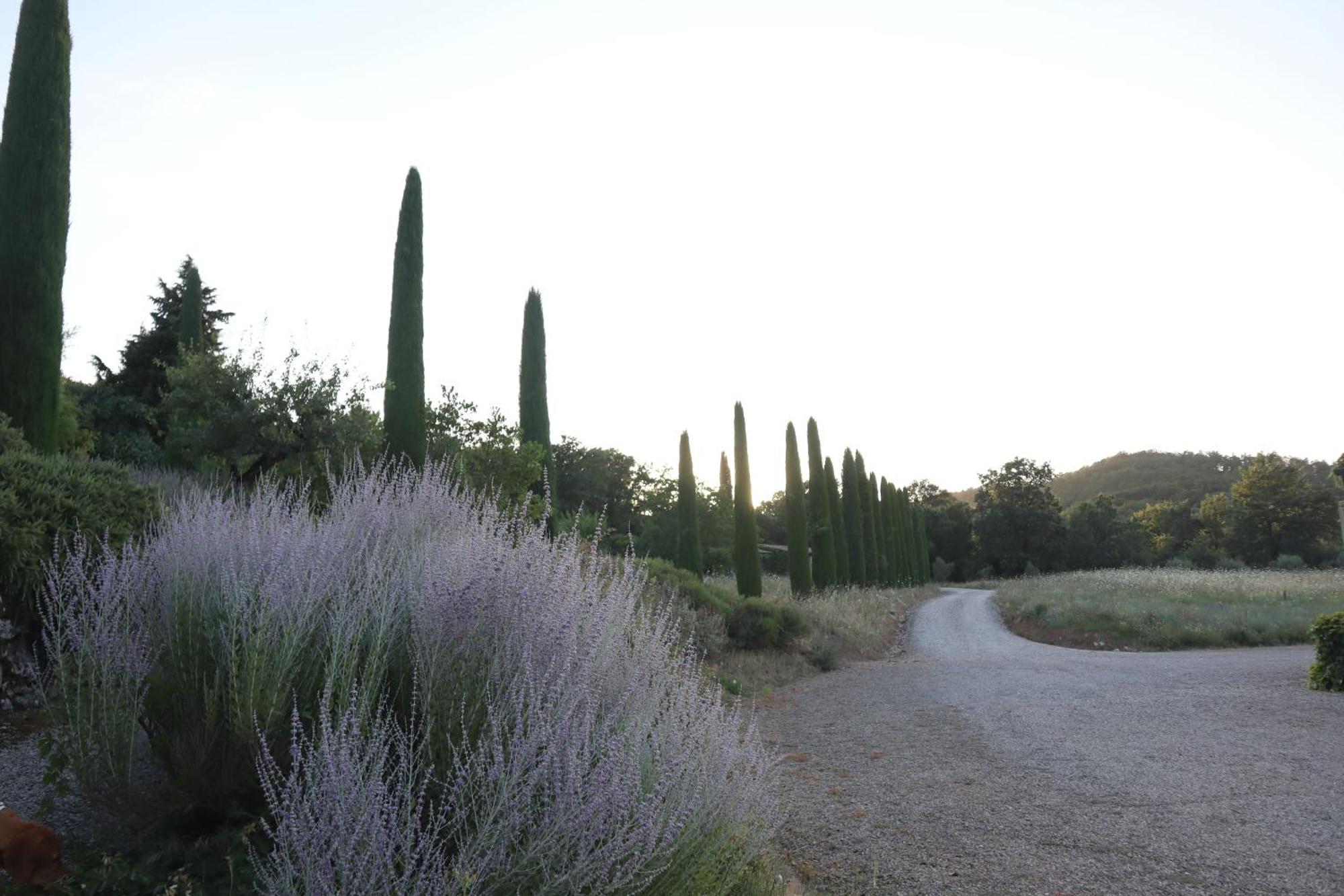 Abbadia Wine Relais Bed & Breakfast Montefollonico Bagian luar foto