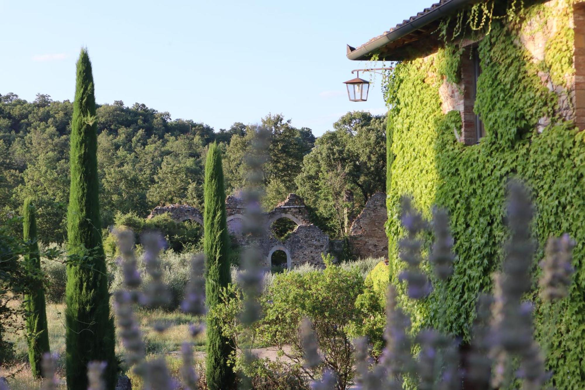 Abbadia Wine Relais Bed & Breakfast Montefollonico Bagian luar foto