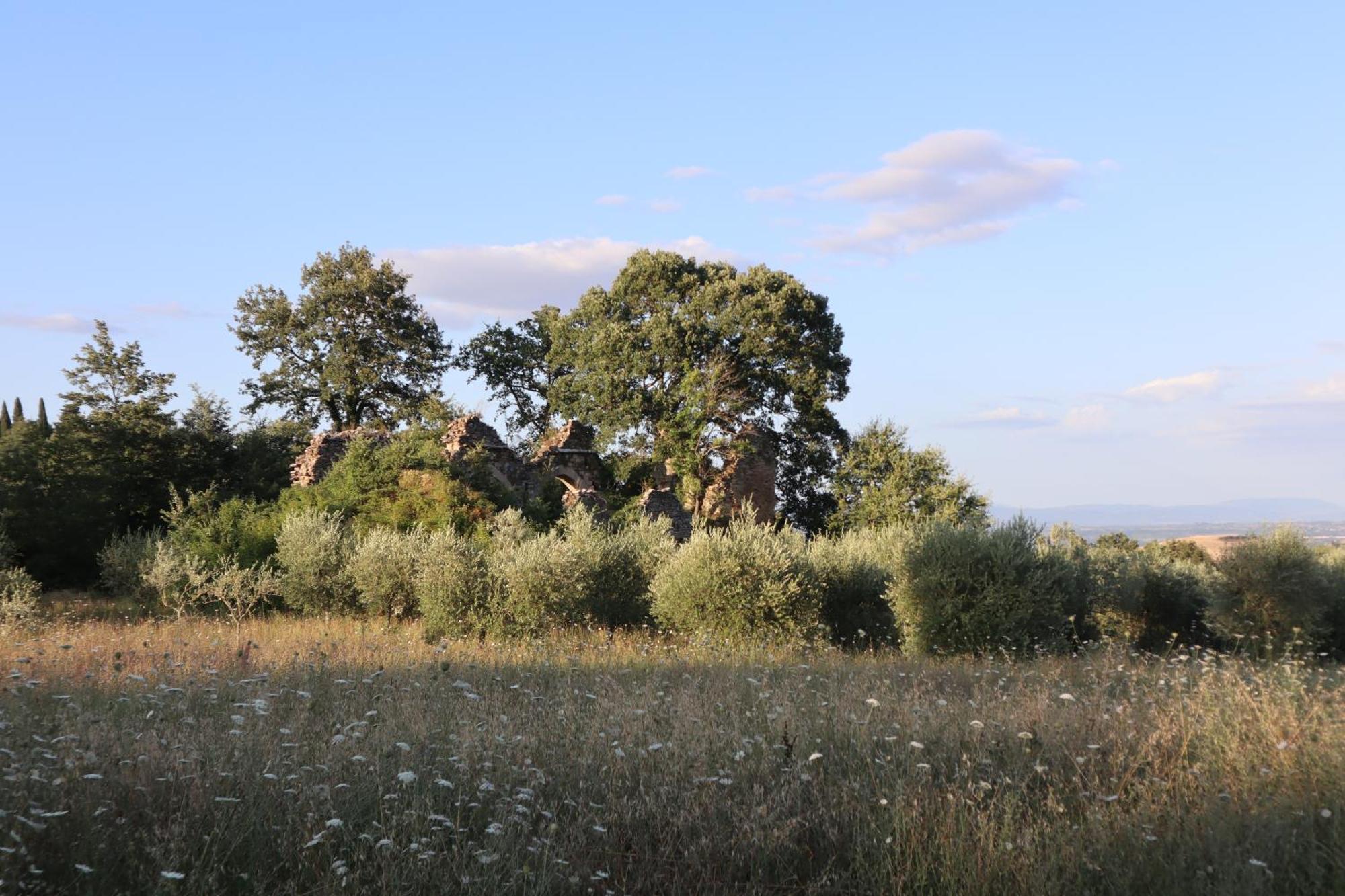 Abbadia Wine Relais Bed & Breakfast Montefollonico Bagian luar foto