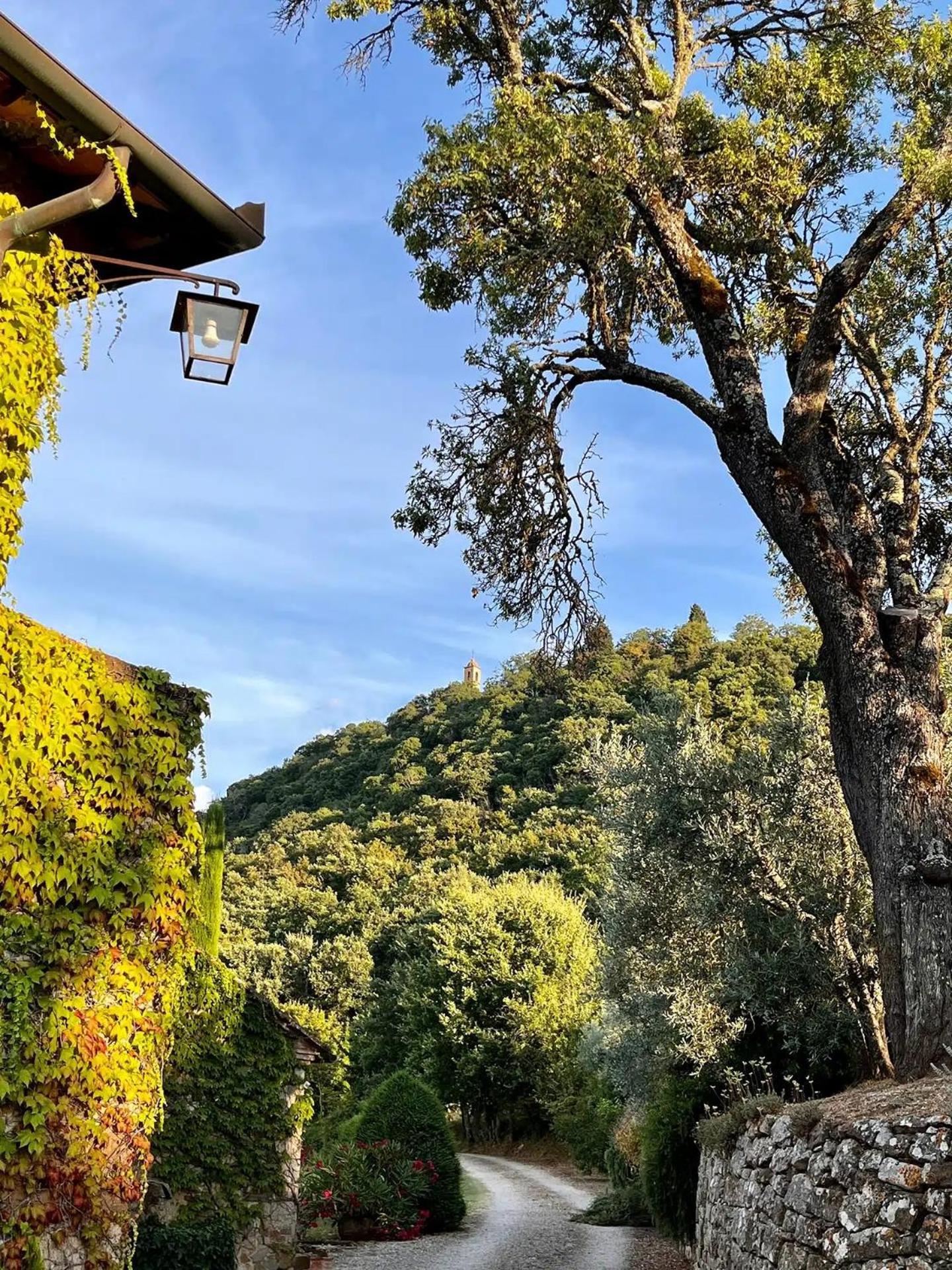 Abbadia Wine Relais Bed & Breakfast Montefollonico Bagian luar foto